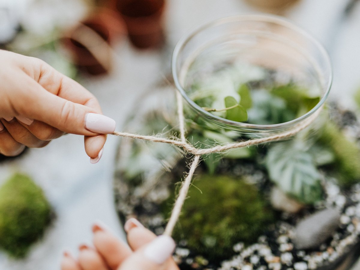 DIY Dollar Store Moss Ball Project on a Tiny Budget - DIY Moss Ball Project