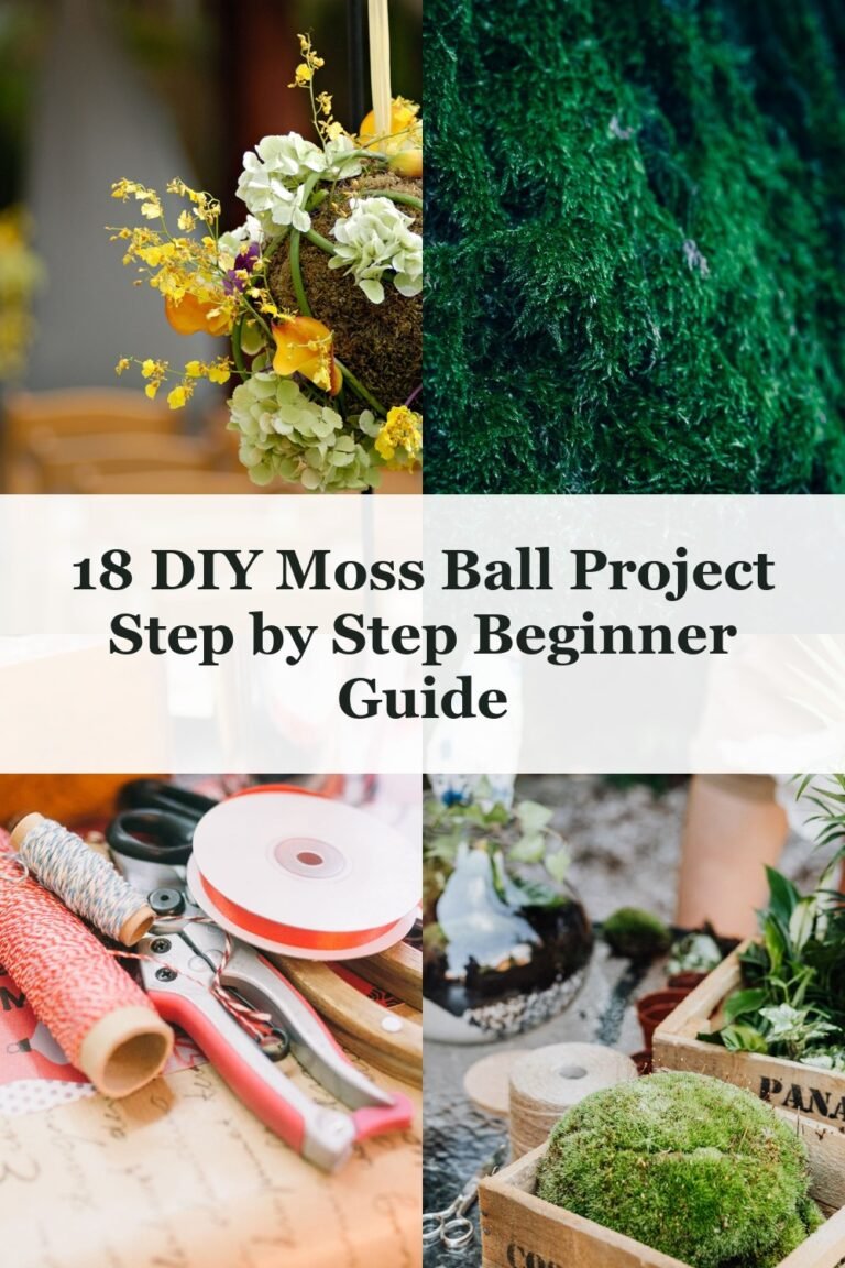 18 DIY Moss Ball Project Step by Step Beginner Guide - DIY Moss Ball Project