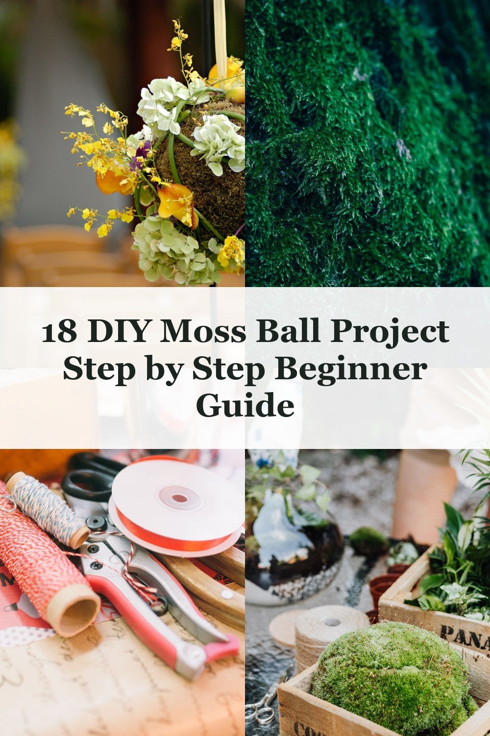18 DIY Moss Ball Project Step by Step Beginner Guide - DIY Moss Ball Project