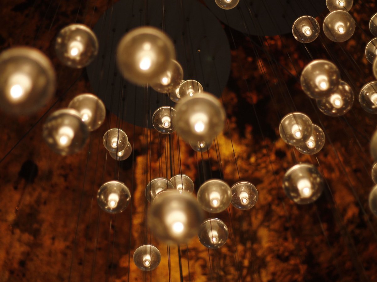Hanging Moss Ball Display — Create a Stunning Suspended Garden - DIY Moss Ball Project