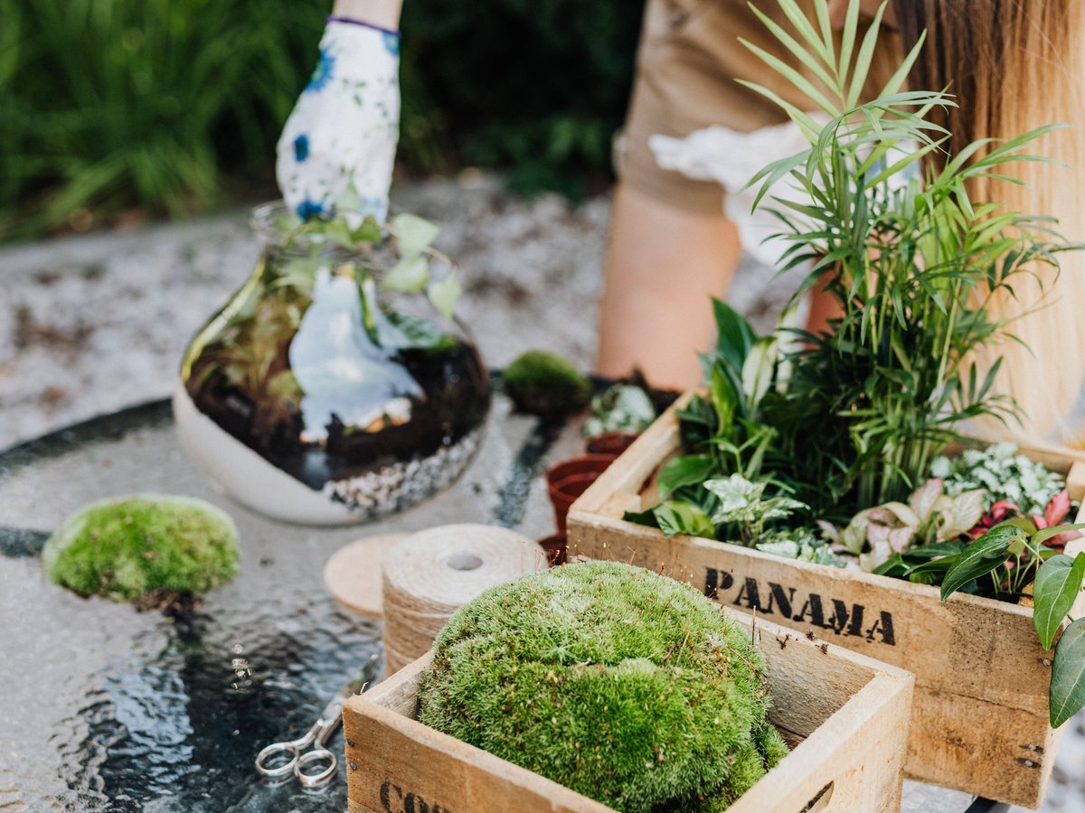How to Make a Basic Decorative Moss Ball Step by Step - DIY Moss Ball Project