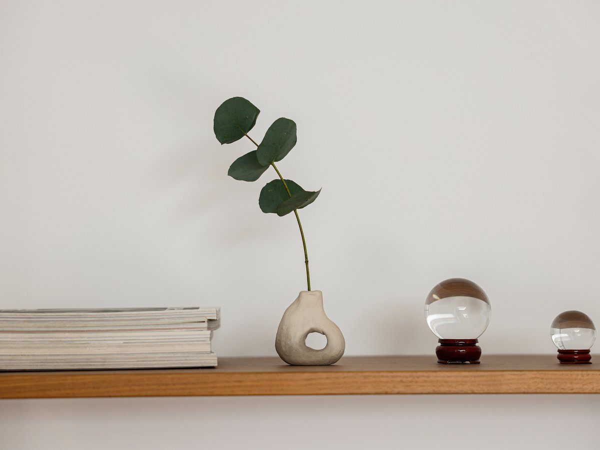 Moss Ball Styling Inspiration — 10 Pinterest-Worthy Display Ideas - DIY Moss Ball Project