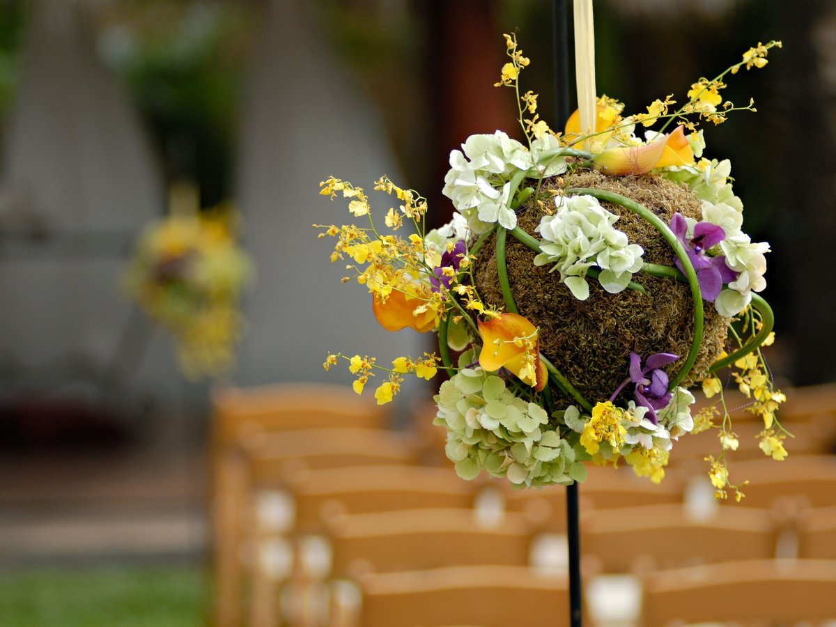 What Is a DIY Moss Ball Project and Why Is Everyone Obsessed? - DIY Moss Ball Project