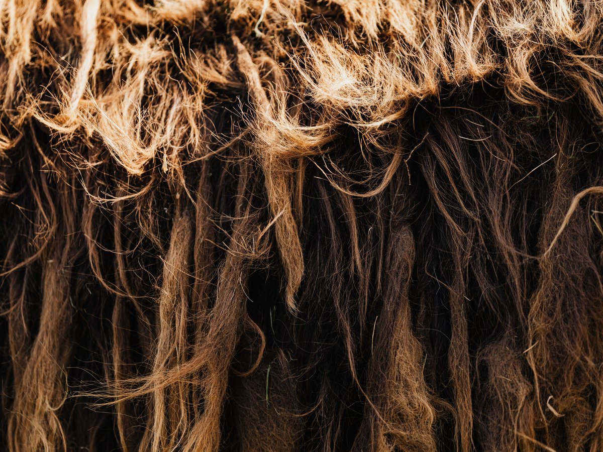 How to Choose the Right Caramel Highlight Shade for Your Warm Brown Hair - Warm Brown Hair Caramel