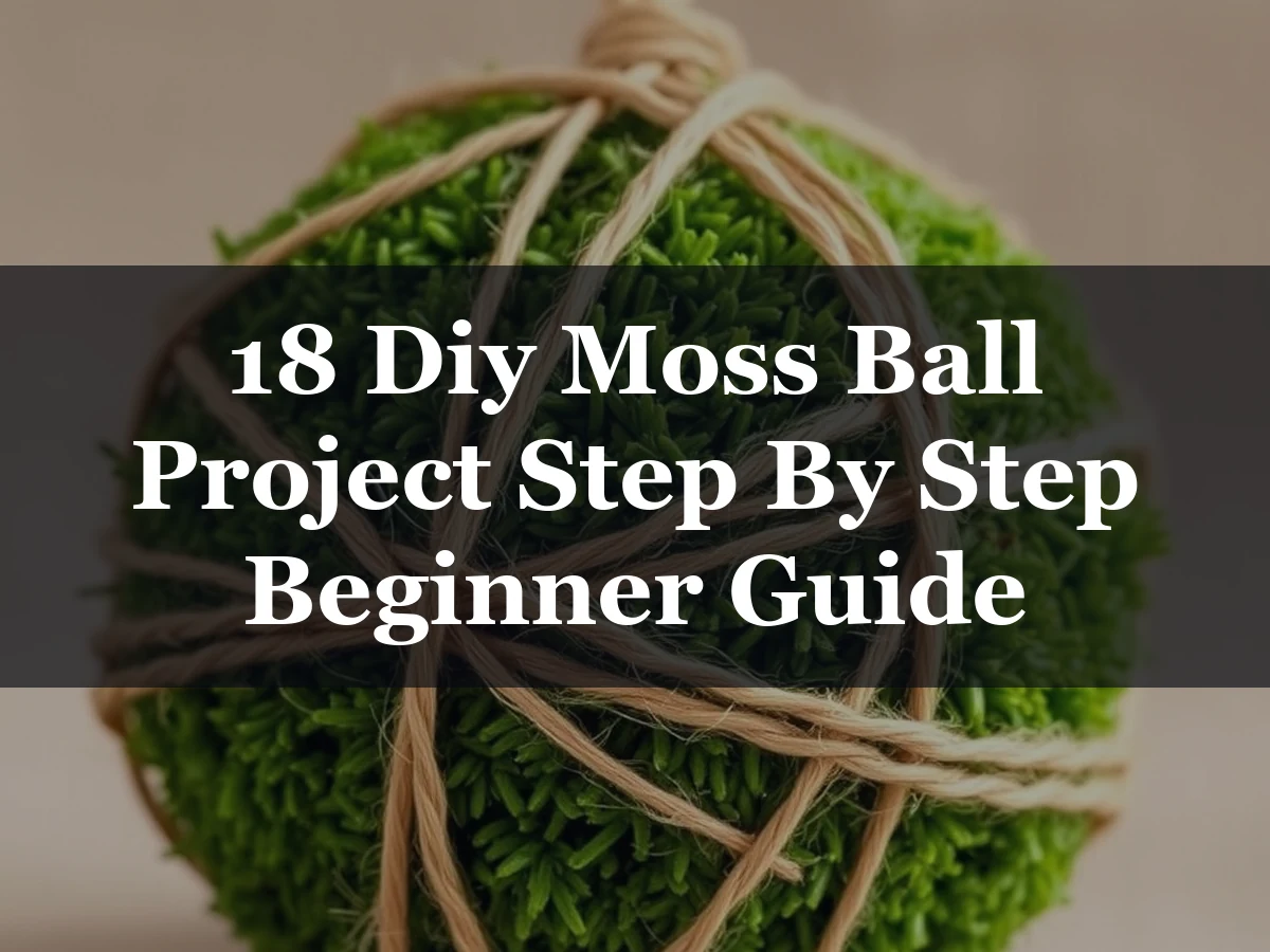 18 Diy Moss Ball Project Step By Step Beginner Guide - 18 DIY Moss Ball Project Step by Step Beginner Guide